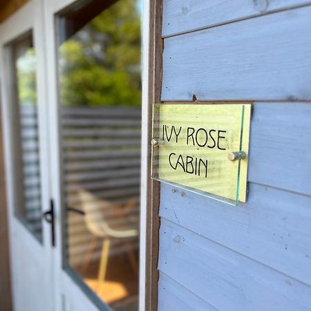 Ivy Rose Cabin No Hot Tub Bude Ngoại thất bức ảnh